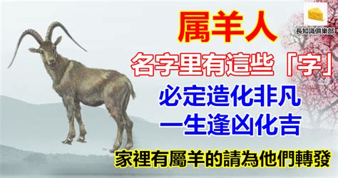 屬羊的名字|生肖姓名學.....屬羊的人：適合與不適合的字